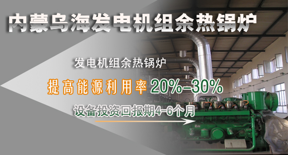 青島凱能鍋爐發電機組余熱鍋爐