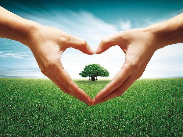 凱能 節能環保主力軍