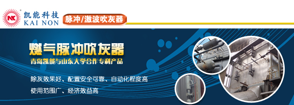 激波吹灰器 激波吹灰器