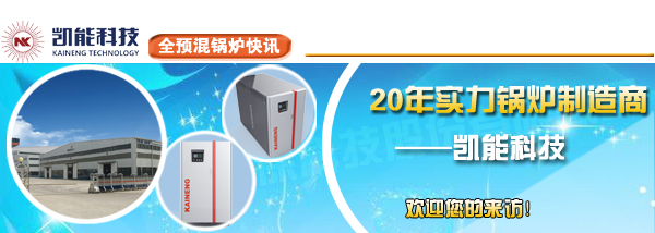 凱能專業全預混低氮燃氣鍋爐生產廠家